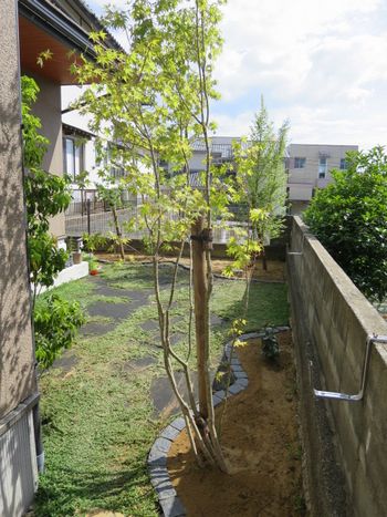 住宅の植栽