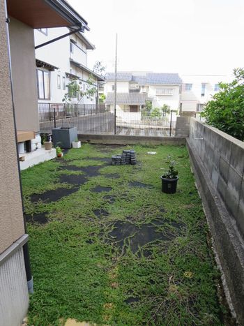 住宅への植栽　作業前