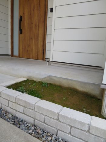 玄関前の植栽作業前